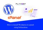 Installing WordPress on cPanel: Everything You Need to Know